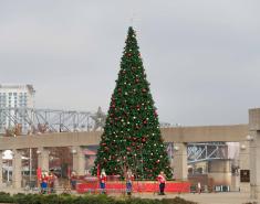 Christmas Tree in Shreveport