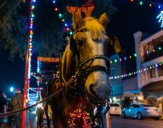 Festive Horse and Carriage